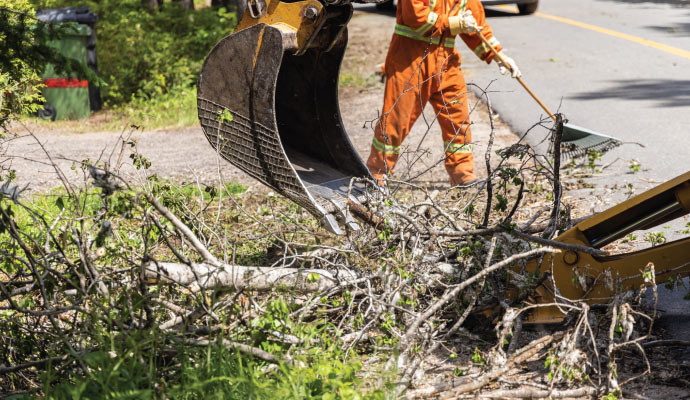 storm damage restoration