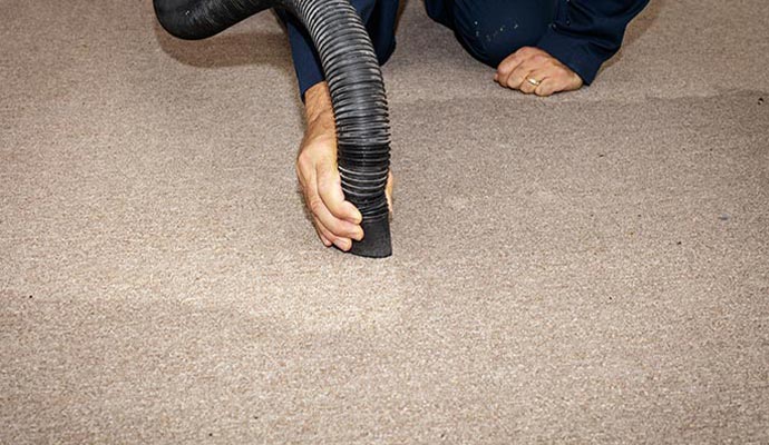 odor elimination from carpet water damage