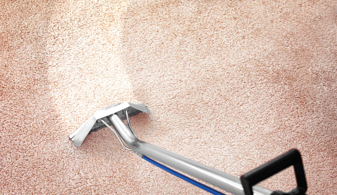 Carpet cleaning service