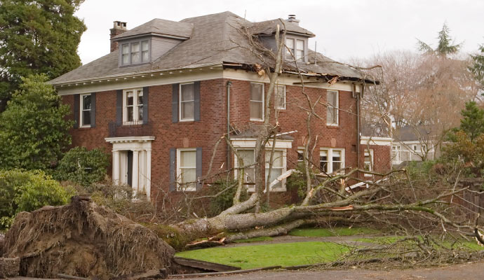 A large brick house with a large tree fallen on its driveway.
