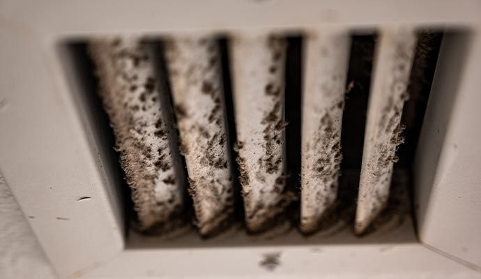 Moldy air vent Moldy air vent