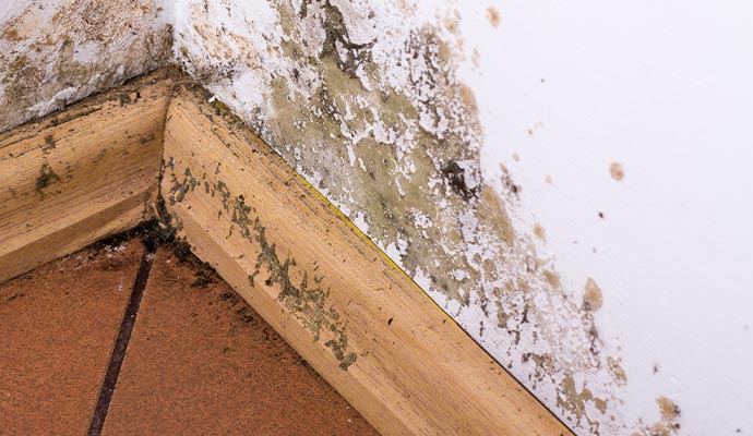 Wall structural damaged due to water leak Wall structural damaged due to water leak