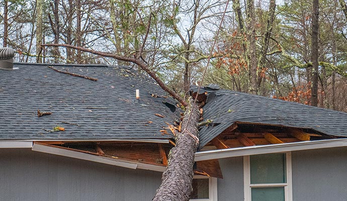 Storm damaged roof