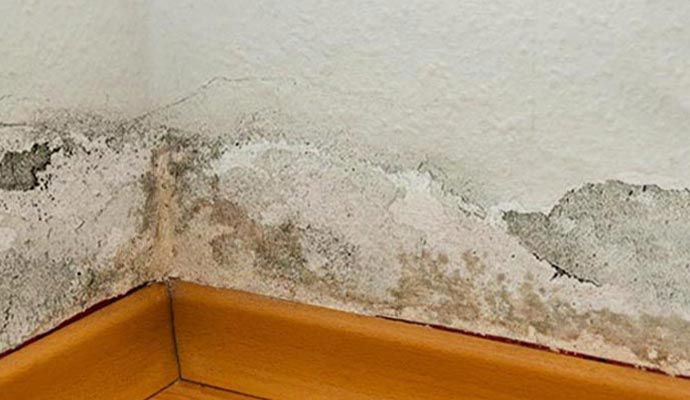 Wall structural damaged due to water leak Wall structural damaged due to water leak